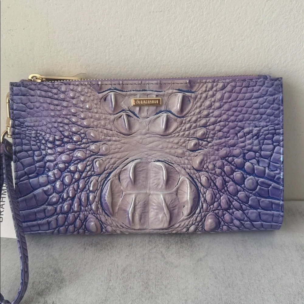 Brahmin daisy very